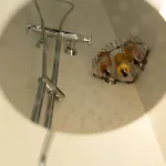 P Santa Clara Boutique By Sojo Hotel Córdova